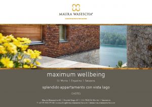 splendido appartamento con vist lago