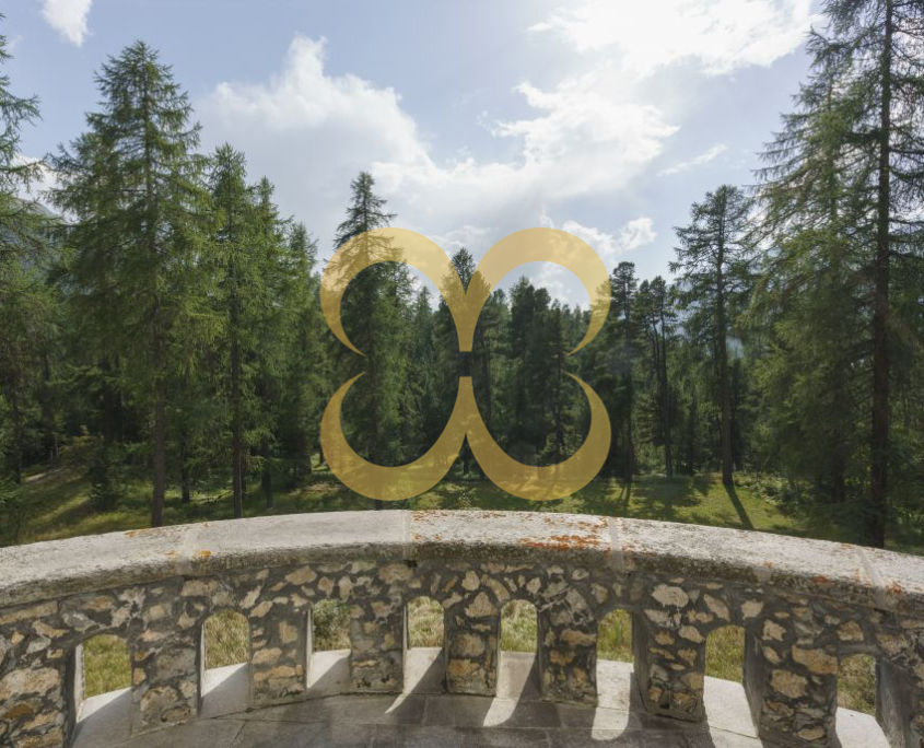 20160915-5023-1030x687