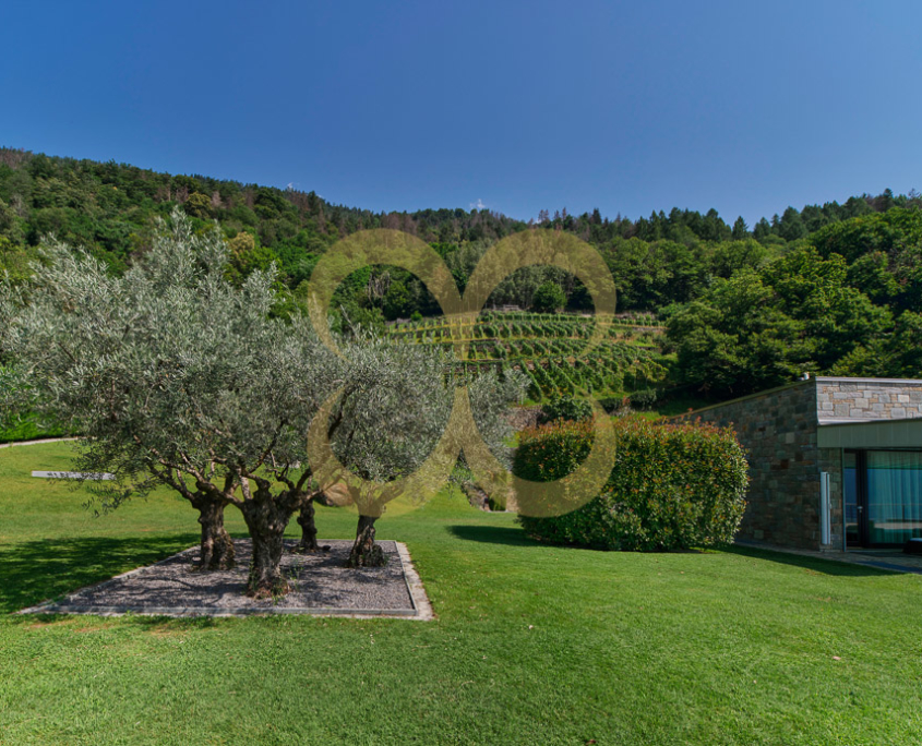 Wasescha_CasaValtellina_035