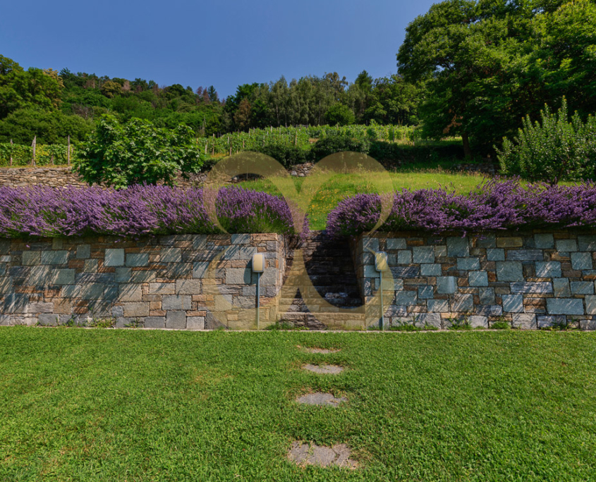 Wasescha_CasaValtellina_039