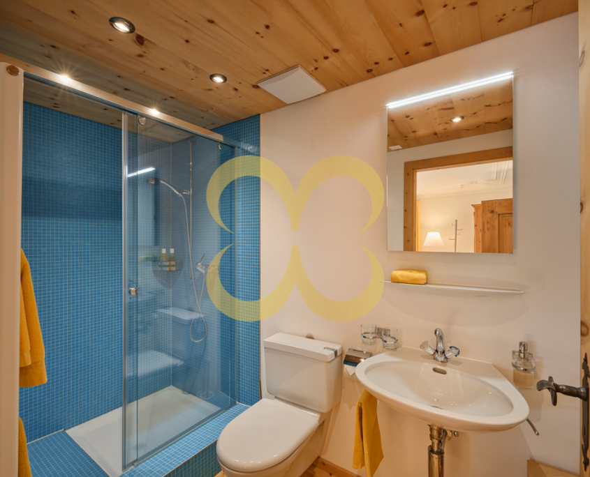 Wasescha_ChesaScarpatetti_043