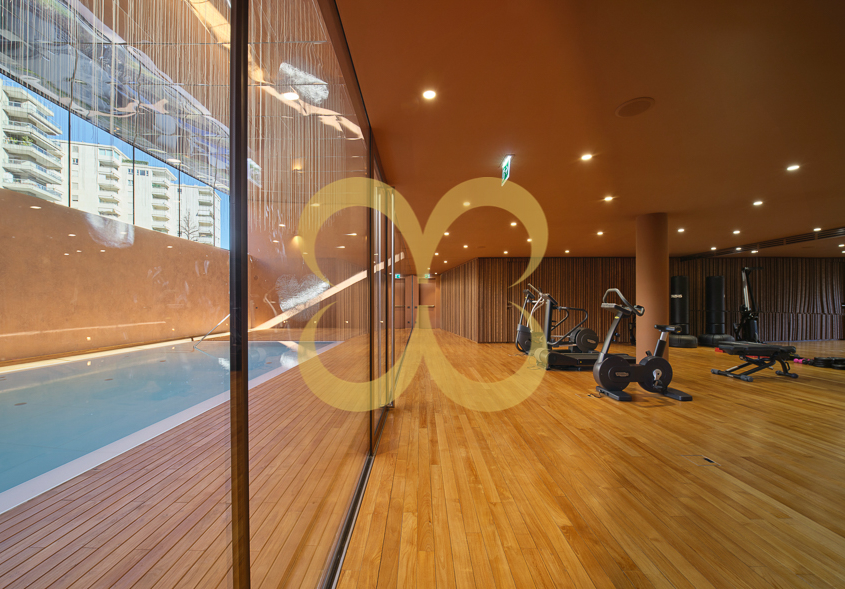 Wasescha_APT_Lugano24_54