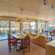 Wasescha_APT_PontresinaView_002