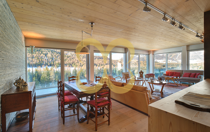 Wasescha_APT_PontresinaView_002