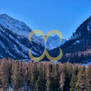 Wasescha_APT_PontresinaView_007