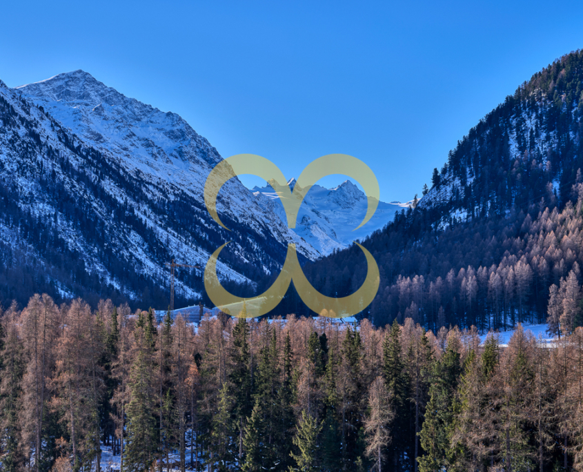 Wasescha_APT_PontresinaView_007