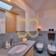 Wasescha_APT_PontresinaView_030