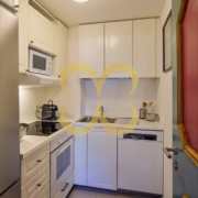 Wasescha_APT_SurlejCute_012