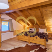 Wasescha_APT_SurlejCute_025