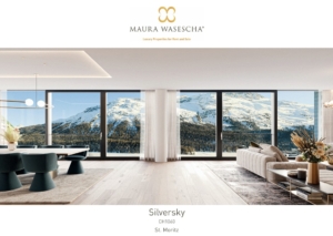 CH1060 Silversky